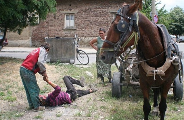 Мъж е с опасност за живота, след като кон го ритна в главата