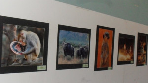 Фотографска изложба Дивото гостува в Павликени