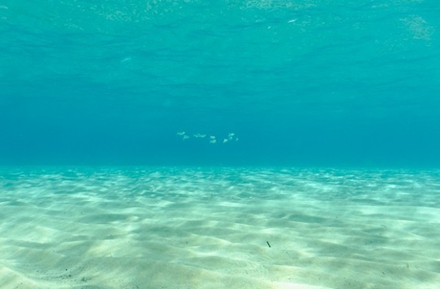 Водолази изградиха подводен параклис край Приморско