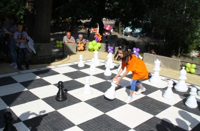 Градински шах във Видин