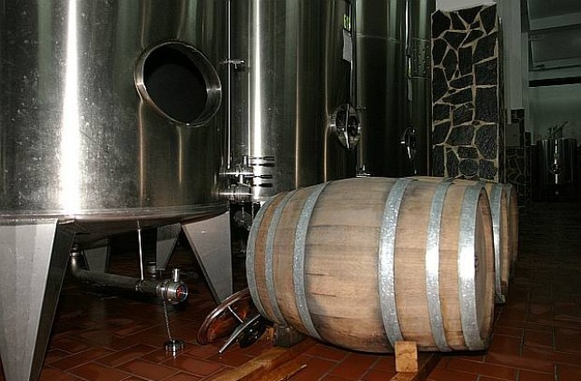 Винопроизводители виждат бъдещето на бранша в отличното и качествено вино