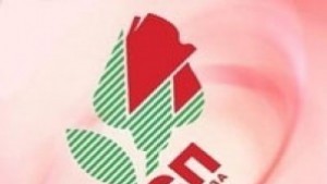 БСП заподозря ГЕРБ в опит за дестабилизация и смяна на