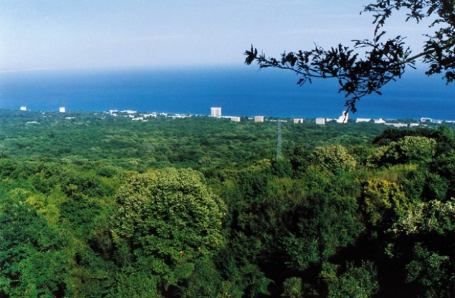 Екоакция в „Златни пясъци” за Деня на природните паркове