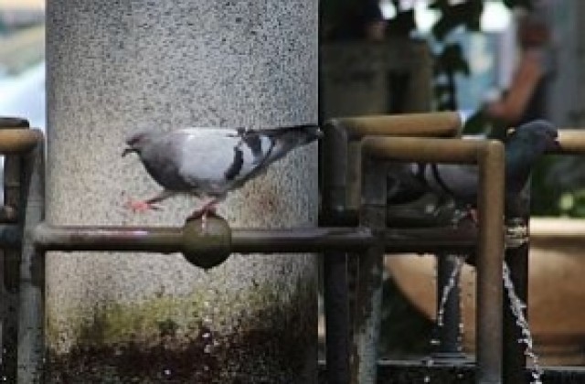 Слънце, облаци и дъжд