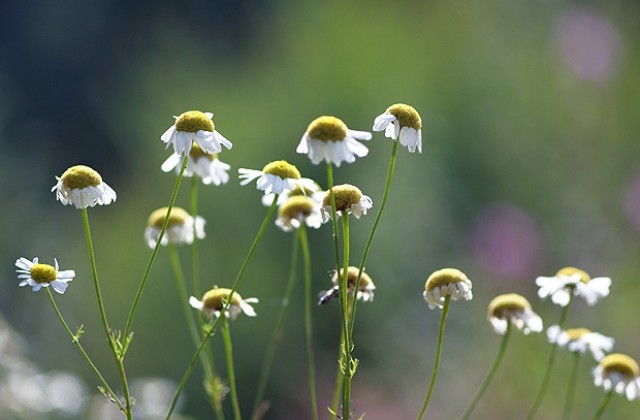 Слънчево и топло