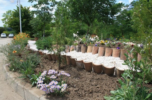 Обитателите на социалните домове аранжираха дворните им площи