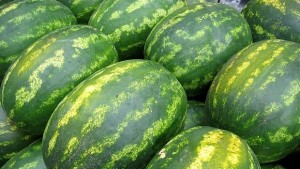 Определиха местата за продажба на дини и пъпеши
