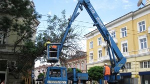 Средно по три жалби на ден за изсъхнали дървета