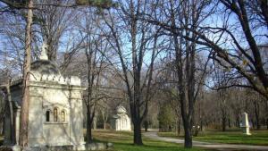 Служителите на НАП спасиха 40 дръвчета предавайки 3 тона хартия