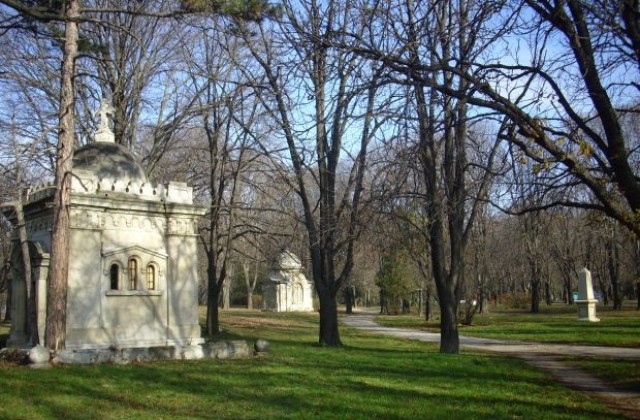 Служителите на НАП спасиха 40 дръвчета, предавайки 3 тона хартия