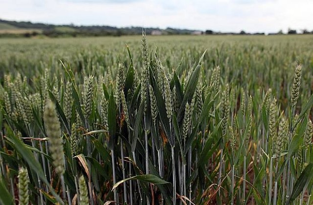 Завземането на земя започна и в Европа
