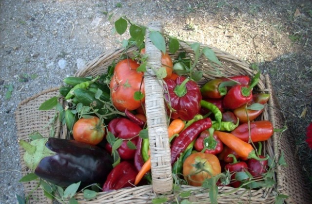 Паметник на градинарите и гурбетчиите вдигат в Драганово