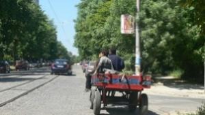 Хванаха бракониери с три каруци дърва
