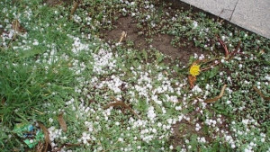 Днес е Видовден