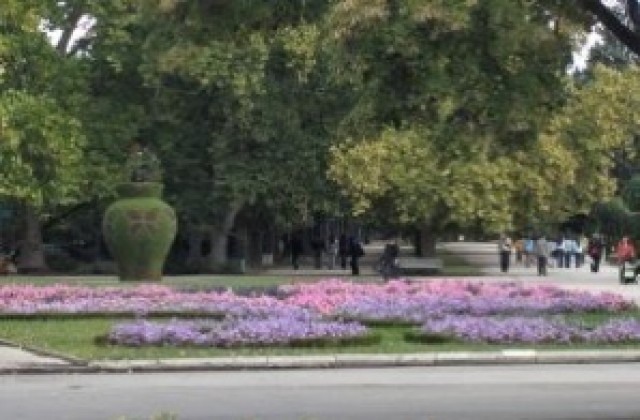 Златната гъдулка се провежда в Парка на младежта