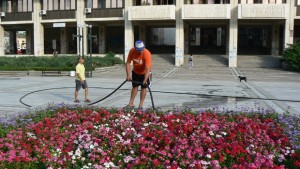 Горещо в Северозапада