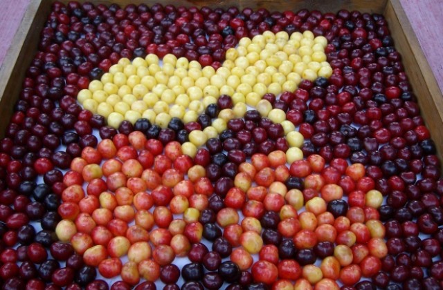 Посланиците на Китай и Израел гости на „Празника на черешата