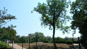 Летният театър ще бъде готов за концерта на BONEY M