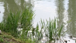 На езеро Загорка се провежда шампионат по корабомоделен спорт