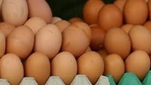 Яйцата и олиото във Варненско найскъпи