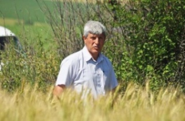 Прибраха 18% от ечемика