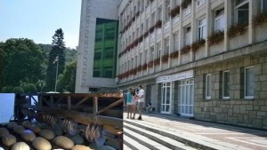 Общината продава дялове в габровския Хлебозавод