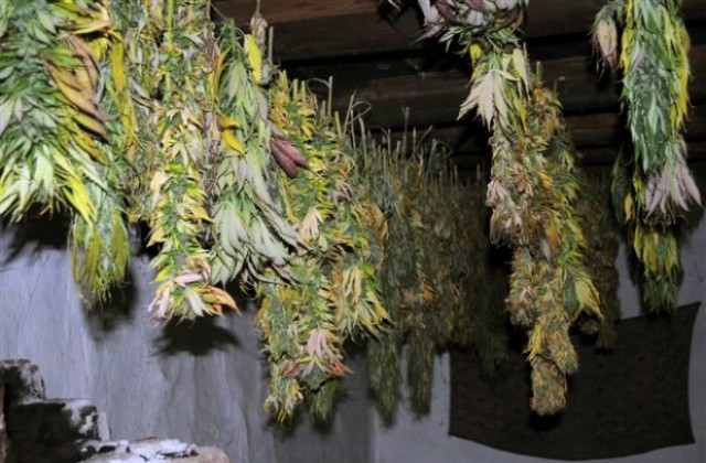 Албанец ще лежи 5 години в затвора за 57 пакета марихуана