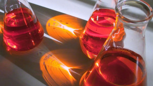 Японски учени клонираха мишка от капка кръв