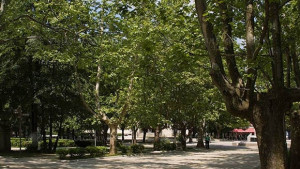 Елате да творим заедно