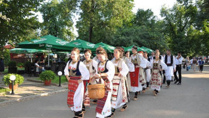 Посрещнаха участниците във фестивала Танци край Дунава