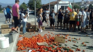 Секторът е в колапс и загива без държавна помощ алармират