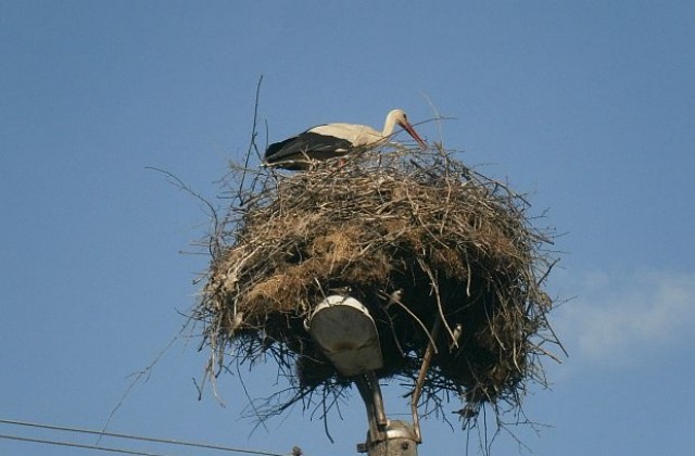 Предимно слънчево