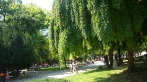 Организират трудова борса за младежи