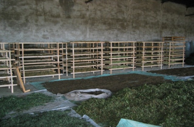 Без нарушения при проверки на билкозаготвителните пунктове