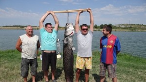Втори сомгигант уловиха за седмица на яз Черногорово