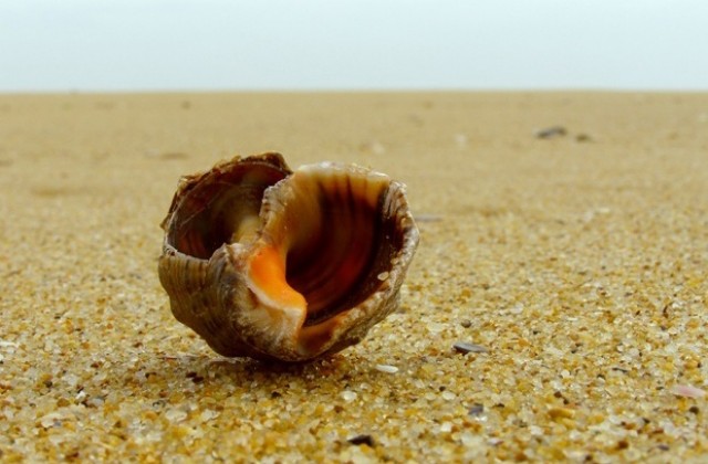 Слънчево, температурите растат