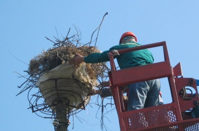От екоинспекцията зоват: Не опитомявайте щъркели!