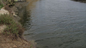 Представители на три институции се срещнаха с жители на Драганово