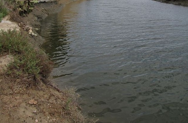 Представители на три институции се срещнаха с жители на Драганово заради сигнал за мъртва риба в Янтра