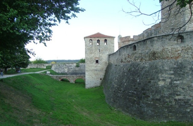 Дунавският сал пристига във Видин