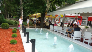 Започва нова инициатива Осинови градинка