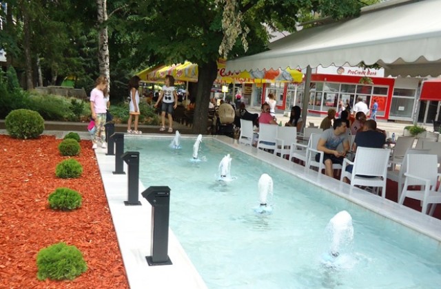 Започва нова инициатива „Осинови градинка