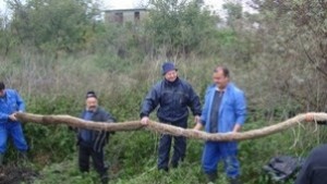 Отново безводие в Стралджанско заради лисича опашка