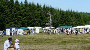 Фестивалът УзанаПолянаФест 2013 залага на екологичната интелигентност