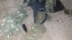 Засякоха бракониери по река Лом