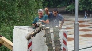 Продължават да извозват прекършените дървета от бурята в Монтана