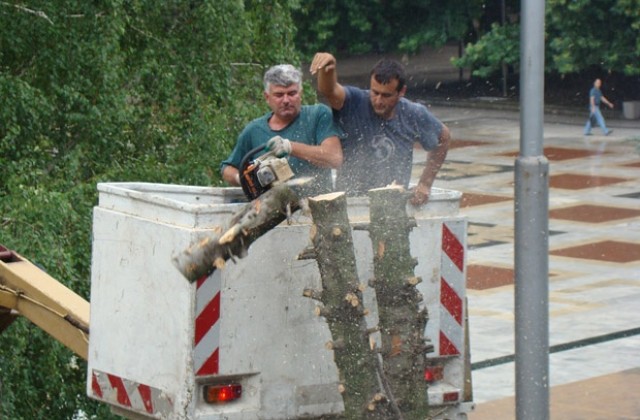 Продължават да извозват прекършените дървета от бурята в Монтана