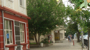 Проекта за паметник на Апостол Карамитев обсъжда Ротари в Димитровград