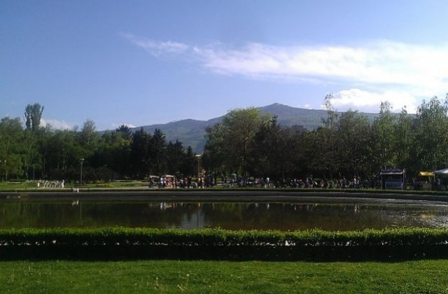 Продължават с косенето на зелените площи