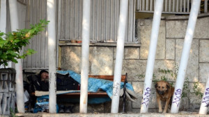 Няма пари за приют в СУПЦ Анастасия др Железкова